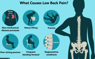 5 Amazing Back Pain Exercises You’ll Love