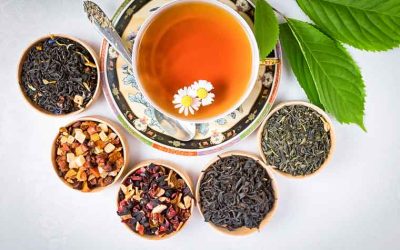 The Tea Diet and Cognitive Function: Improving Mental Clarity and Focus