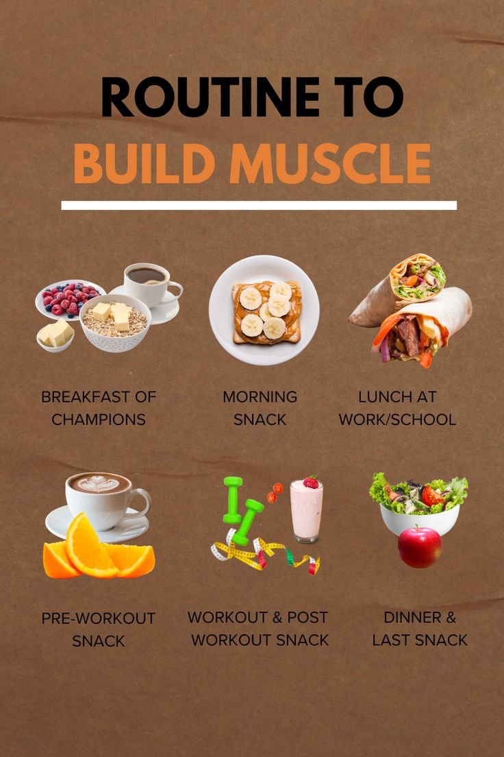 Daily Routine to Build Muscle Naturally Daily Routine to Build Muscle Naturally