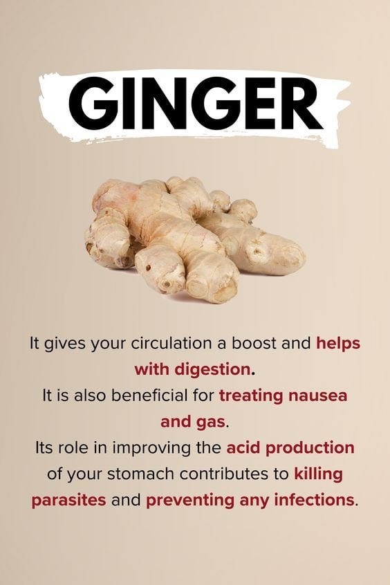 Ginger Benefits: Natural Ways Ginger Supports Digestion & Health 1 2 49