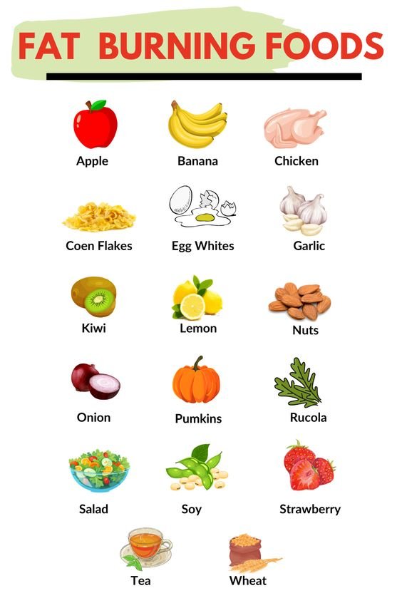 Fat Burning Foods: 15 Healthy Choices to Boost Metabolism 1 2 54