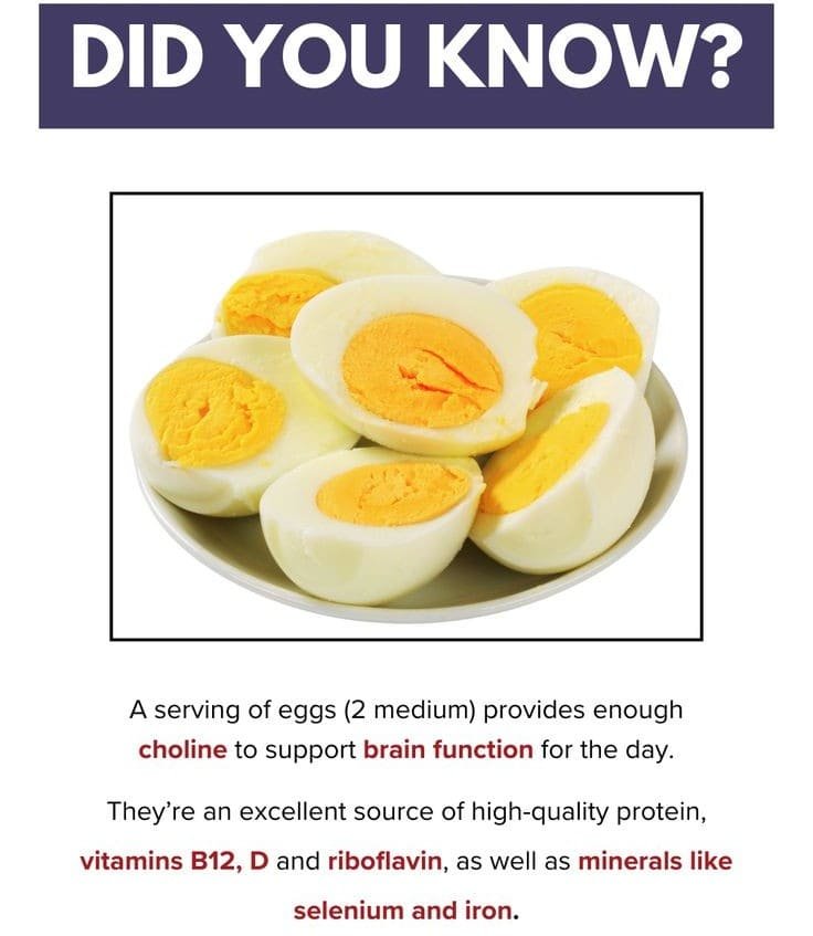 Egg Benefits for Brain Function and Daily Nutrition